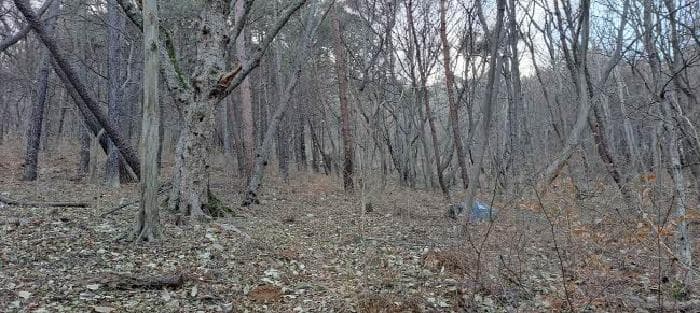 부산광역시 금정구 남산동 산54