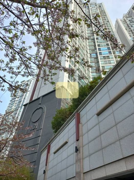 부산광역시 수영구 광안해변로 386, 101동 24층2401호 (민락동,롯데캐슬자이언트)