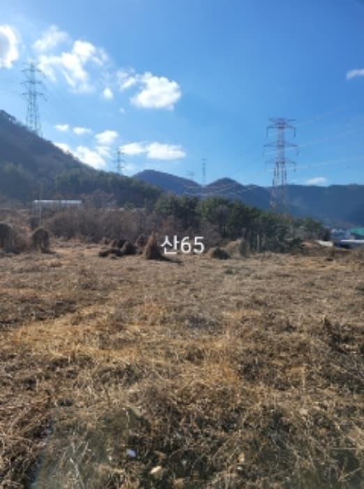 부산광역시 기장군 정관읍 달산리 419-1 외 3 필지