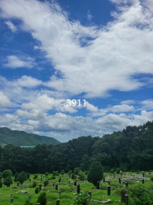 부산광역시 기장군 정관읍 용수리 산129-1 외 2 필지