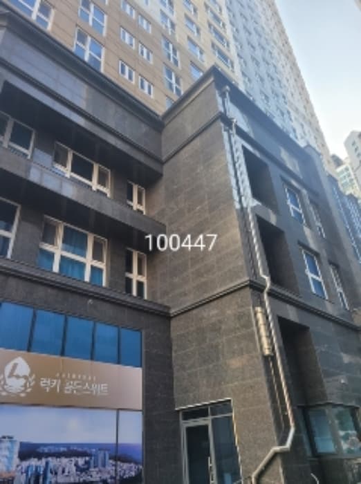 부산광역시 해운대구 해운대해변로 346, 8층801호 (중동,럭키골든스위트)