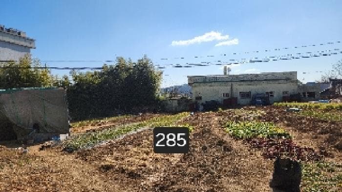 부산광역시 기장군 장안읍 좌천리 390