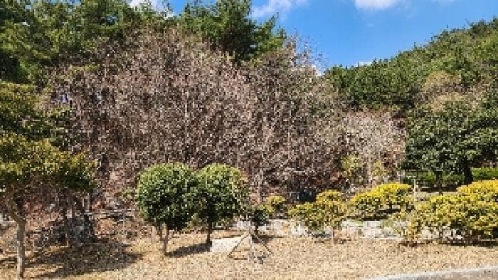 부산광역시 해운대구 석대동 산7