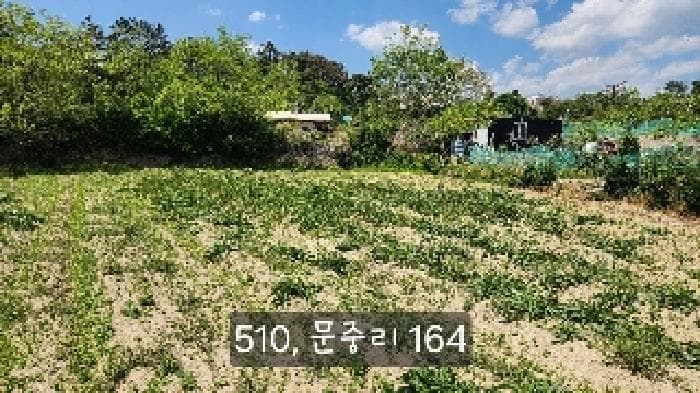 부산광역시 기장군 일광읍 문중리 164