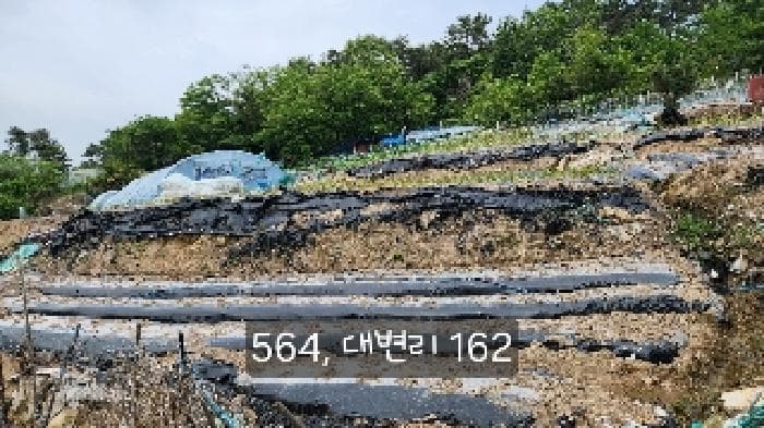 부산광역시 기장군 기장읍 대변리 161