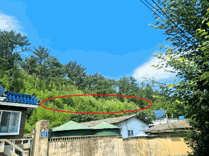 부산광역시 기장군 정관읍 임곡리 185