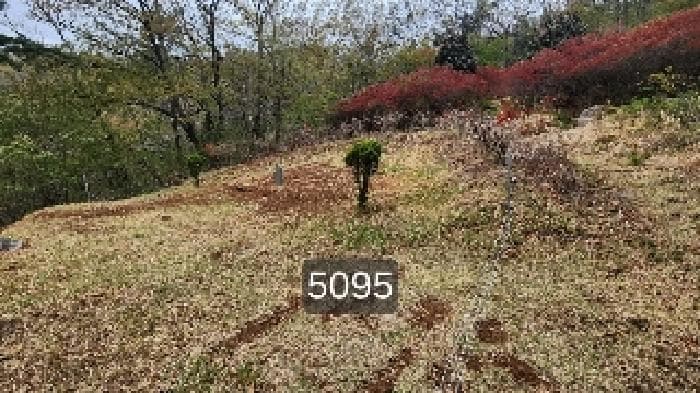 부산광역시 기장군 정관읍 월평리 산34