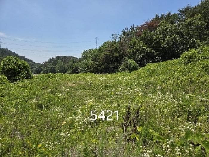 부산광역시 기장군 장안읍 반룡리 258