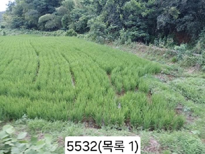부산광역시 기장군 일광읍 원리 563