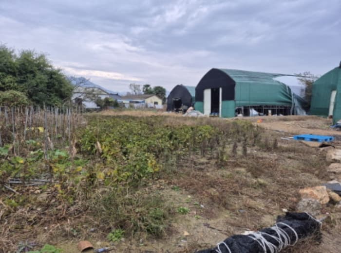 부산광역시 강서구 대저1동 1180
