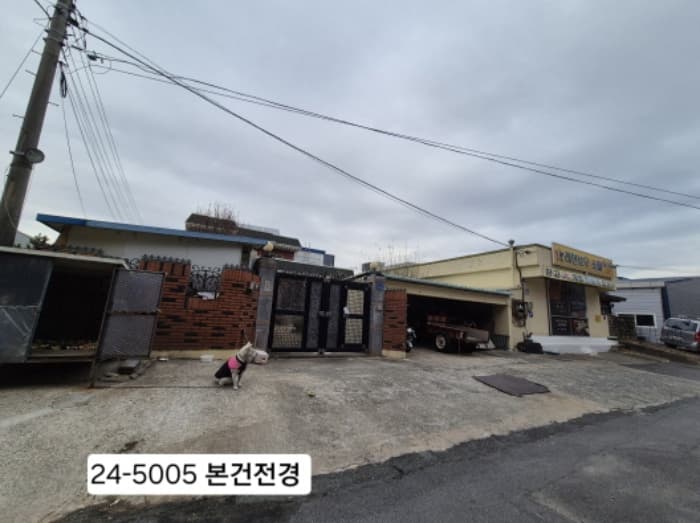 부산광역시 강서구 공항로743번길 5-54 외 1개 동