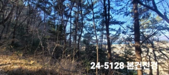 부산광역시 강서구 성북동 산265