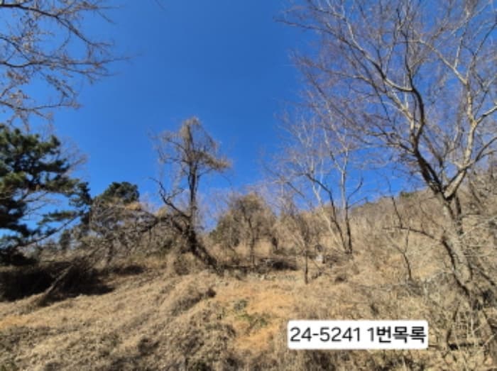 부산광역시 사하구 괴정동 산139-1