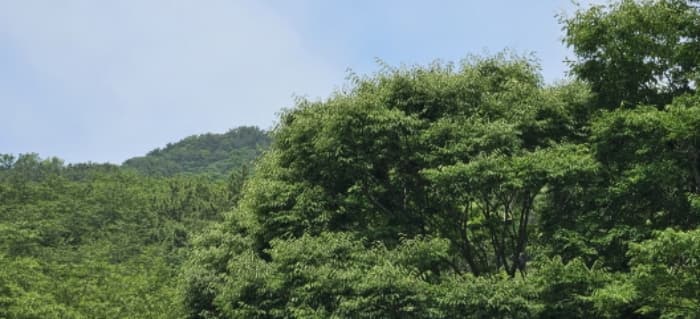 부산광역시 사상구 학장동 산158-1