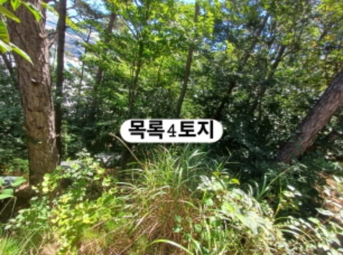 부산광역시 강서구 생곡동 산110