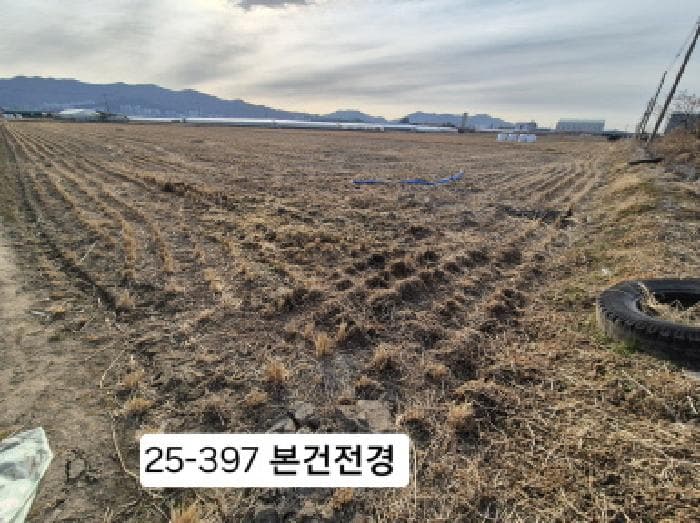 부산광역시 강서구 대저1동 3702-1