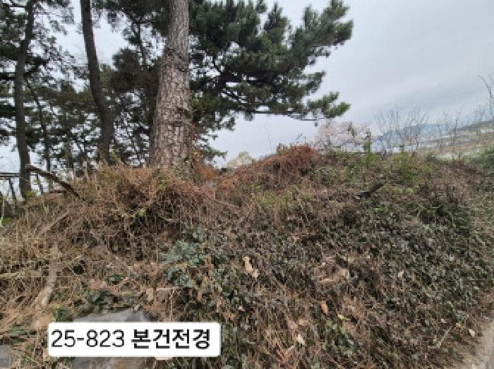 부산광역시 강서구 죽림동 1043
