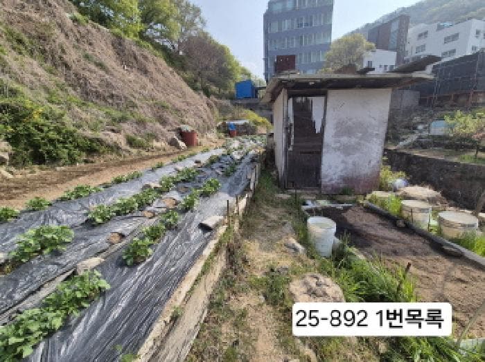 부산광역시 북구 만덕동 378