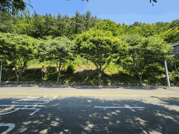 부산광역시 강서구 지사동 산190-1