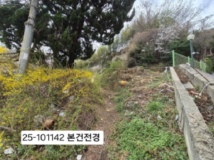 부산광역시 사하구 괴정동 산90-5