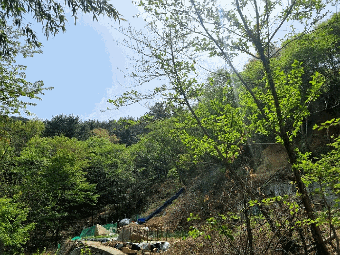 부산광역시 사상구 모라동 산91