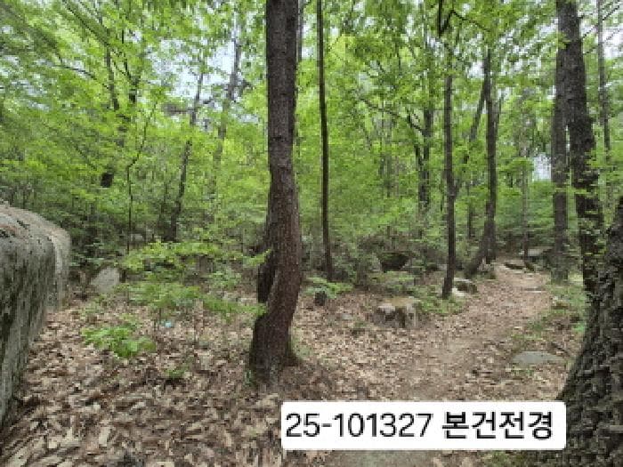 부산광역시 북구 금곡동 산15