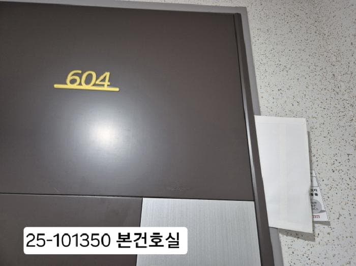 부산광역시 강서구 지사동 1186 협성디에스엘리시안 113동 6층604호
