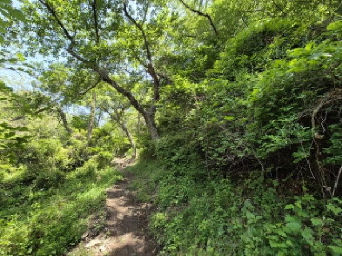 부산광역시 사하구 감천동 산72
