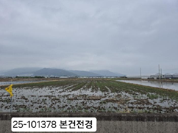 부산광역시 강서구 강동동 921-1