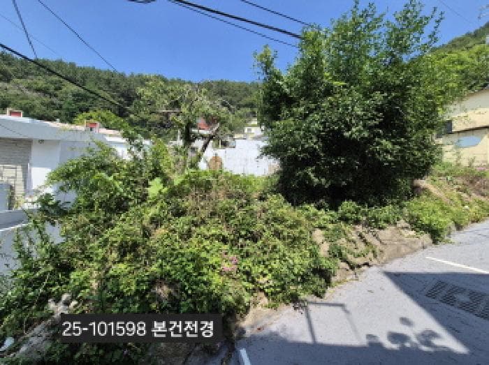 부산광역시 사하구 괴정동 산5-8