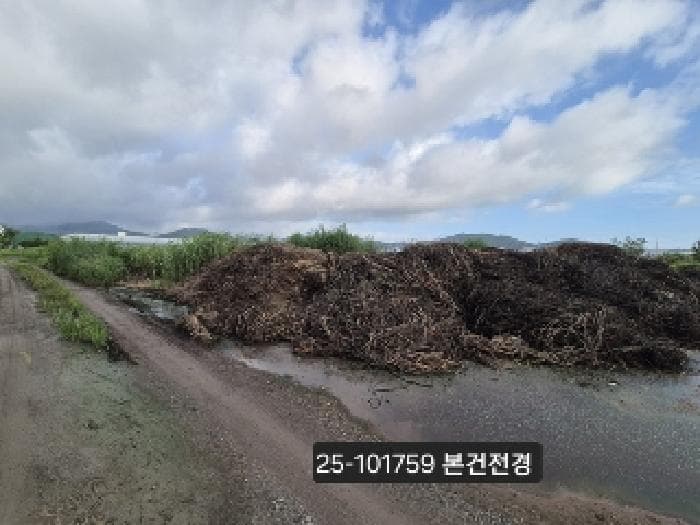부산광역시 강서구 봉림동 763-1692