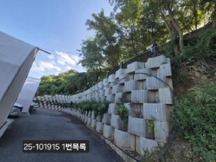 부산광역시 강서구 천성동 251