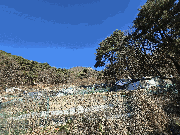 부산광역시 북구 만덕동 산5