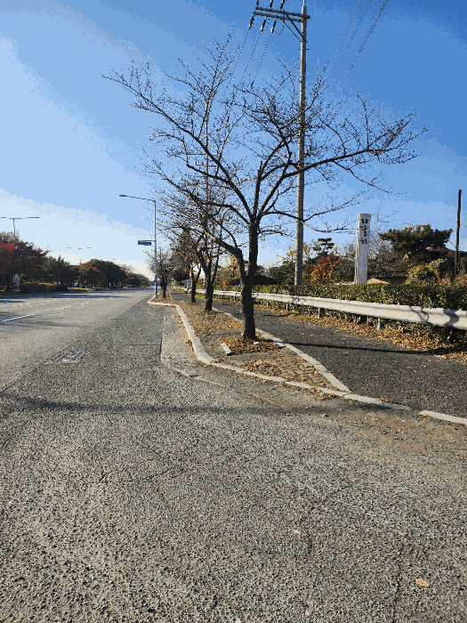 부산광역시 강서구 대저2동 4437 외 1 필지