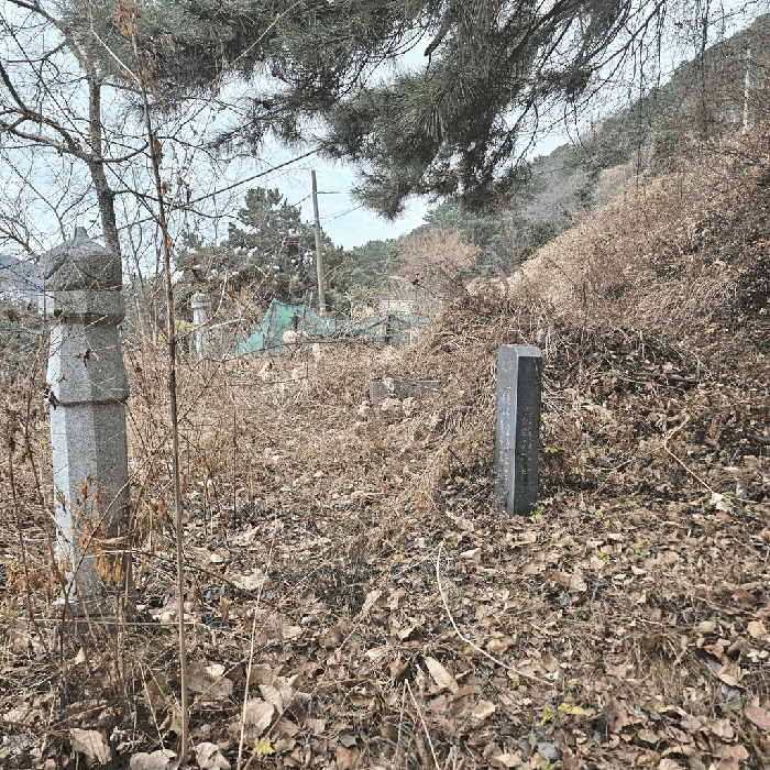 부산광역시 사하구 당리동 산35-3