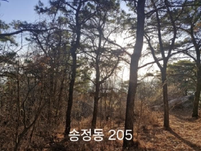 부산광역시 강서구 송정동 183