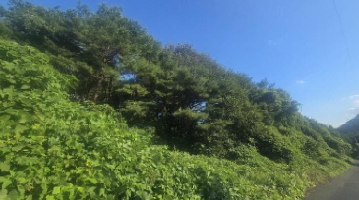 울산광역시 울주군 두동면 구미리 284-92 외 1 필지