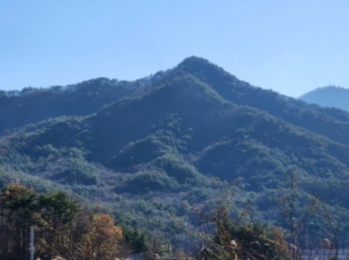 울산광역시 울주군 상북면 덕현리 산157-3