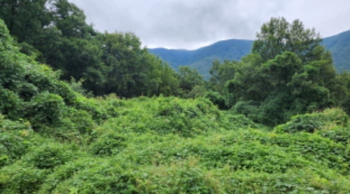 울산광역시 울주군 상북면 궁근정리 12