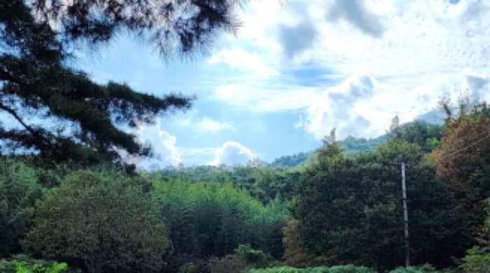 울산광역시 울주군 상북면 길천리 1126