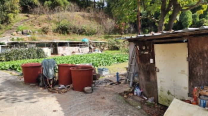 울산광역시 울주군 웅촌면 곡천리 556-1 외 2 필지