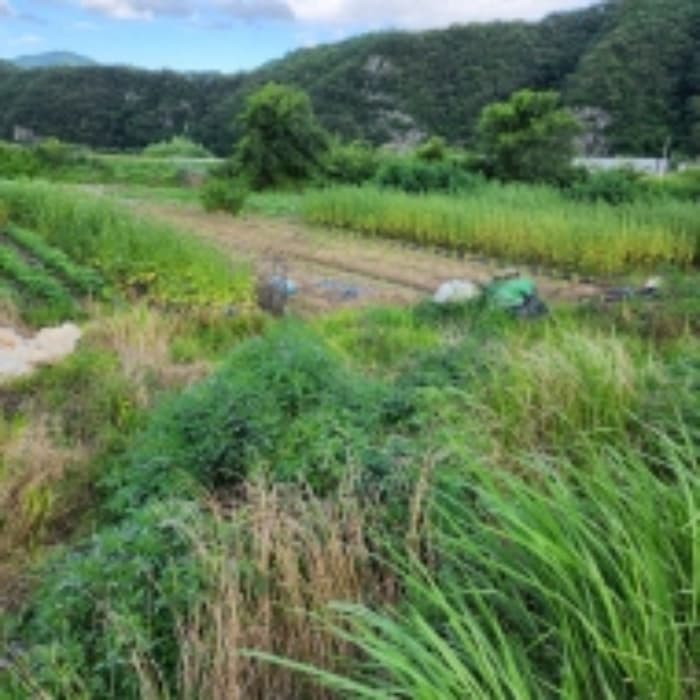 울산광역시 울주군 언양읍 반송리 452-2