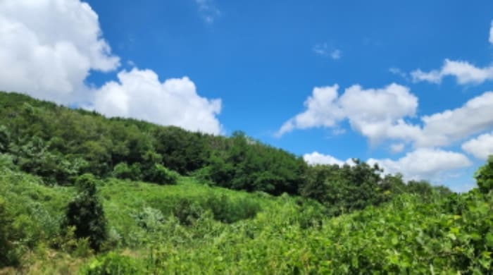 경상남도 양산시 주남동 925-50 외 9 필지
