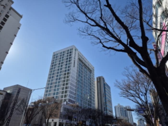 울산광역시 남구 삼산로 50, 3층307호 (신정동,신정오펠리움플러스)