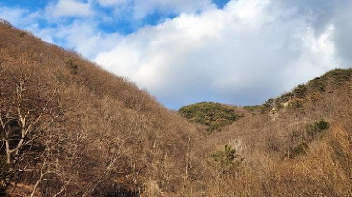 경상남도 양산시 원동면 원리 산126 외 3 필지