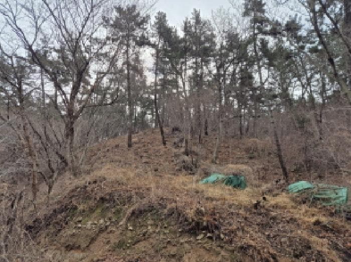 울산광역시 울주군 서생면 나사리 31 외 2 필지
