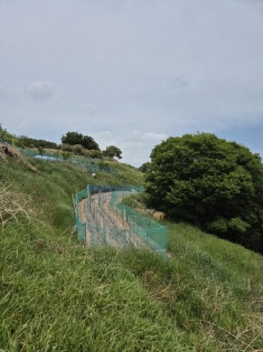 울산광역시 남구 장생포동 산75-1