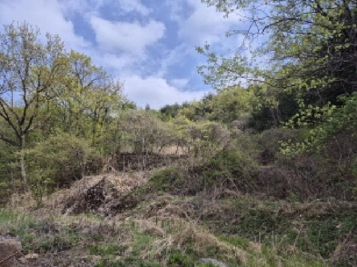 울산광역시 울주군 온양읍 내광리 491
