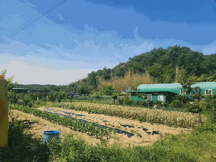 울산광역시 북구 상안동 157-1 외 2 필지