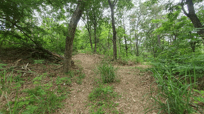 울산광역시 중구 성안동 산339-10 외 1 필지